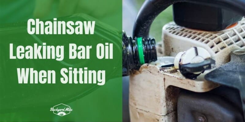 chainsaw leaking bar oil when sitting