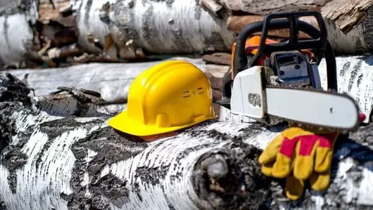 Can You Use A Chainsaw On A Ladder? 11 chainsaw safety gears