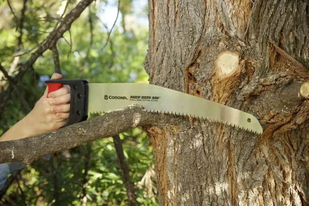 Can You Use A Chainsaw On A Ladder? Backyard Mike