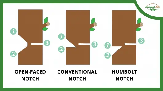 how to cut down a tree with a chainsaw how to cut down a tree with a chainsaw