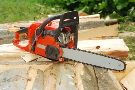 Electric vs. Gas Chainsaw: Which Is The Better Chainsaw Option For You? 6 gas chainsaw