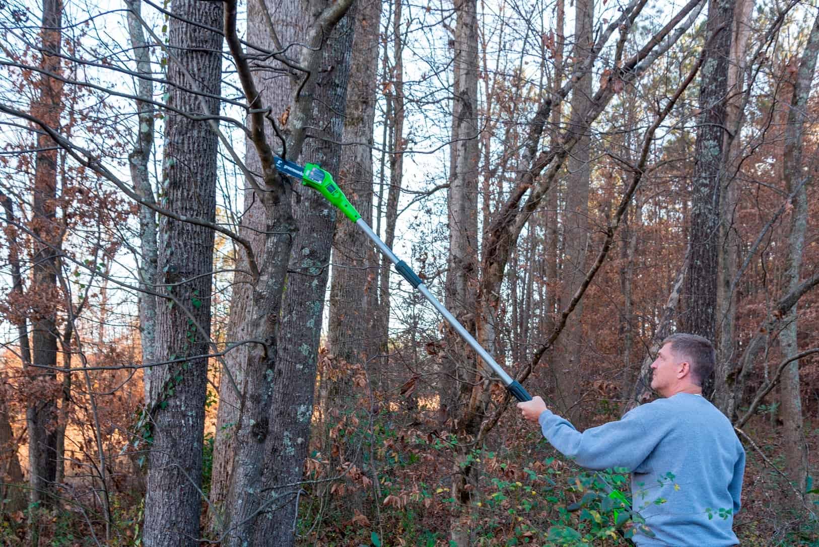 How Do You Extend A Pole Saw Backyard Mike