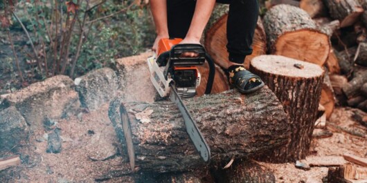 professional logger cutting huge logs using a heated chainsaw handle