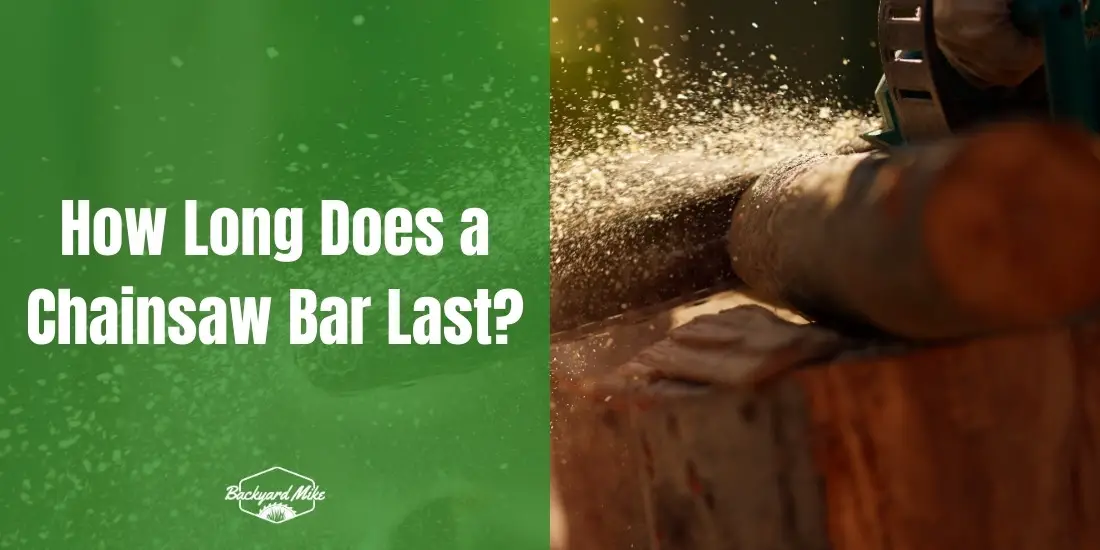 how long does a chainsaw bar last