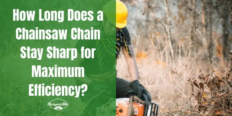 how long does a chainsaw chain stay sharp