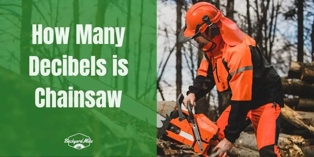 How Many Decibels is Chainsaw Backyard Mike