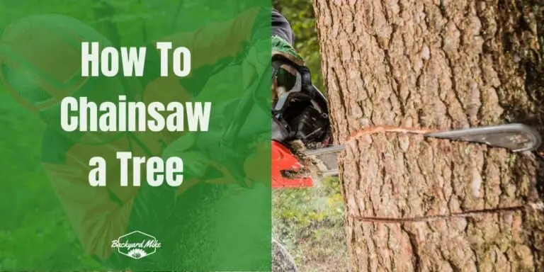 Chain Saw Tree Ringing How To Chainsaw a Tree | Backyard Mike