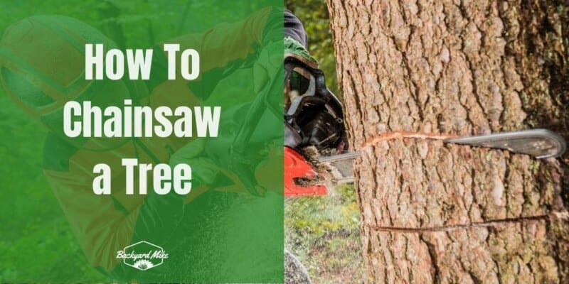 how to chainsaw a tree