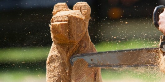 How To Chainsaw Carve a Bear 2 logger carving a bear using a chainsaw