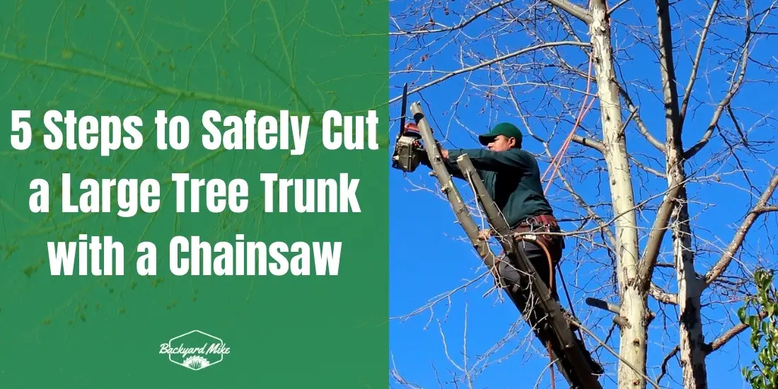 how to cut a large tree trunk with a chainsaw