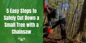 How To Cut Down A Small Tree With A Chainsaw