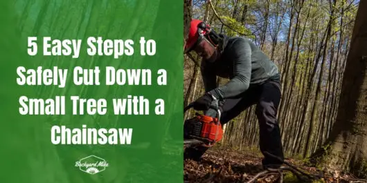 How To Cut Down A Small Tree With A Chainsaw