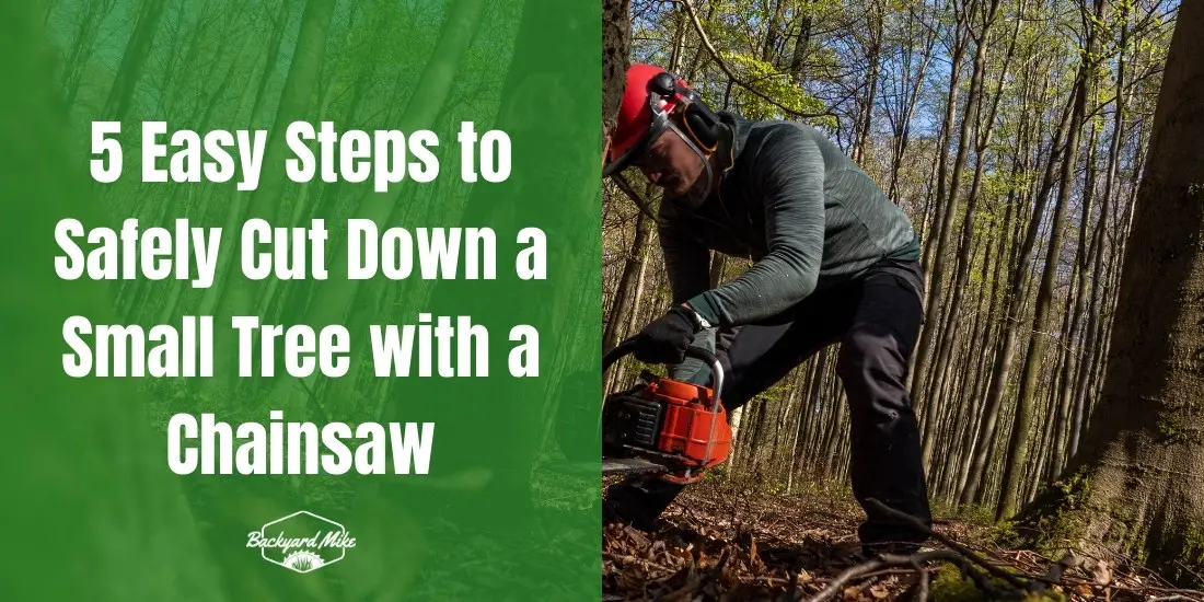 how to cut down a small tree with a chainsaw