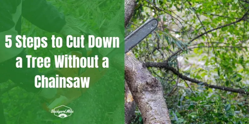 how to cut down a tree without a chainsaw