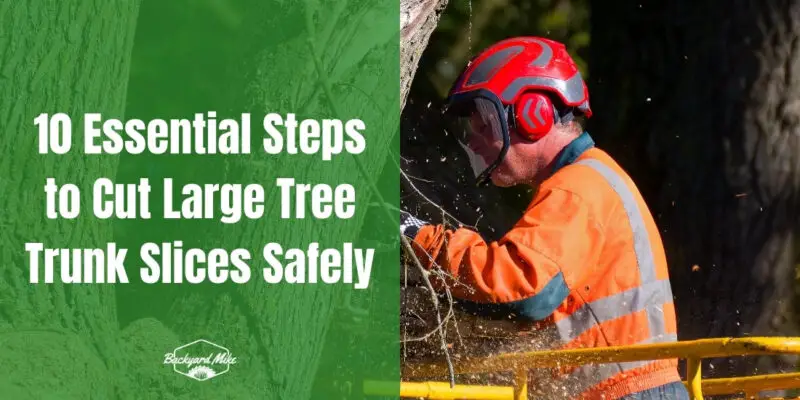 how to cut large tree trunk slices