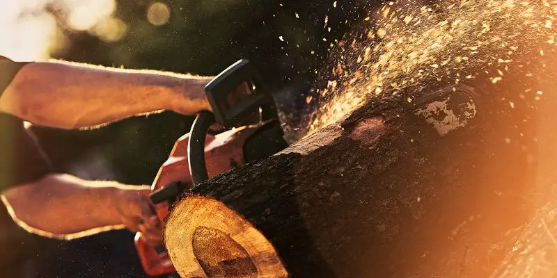 how to cut logs into lumber with chainsaw