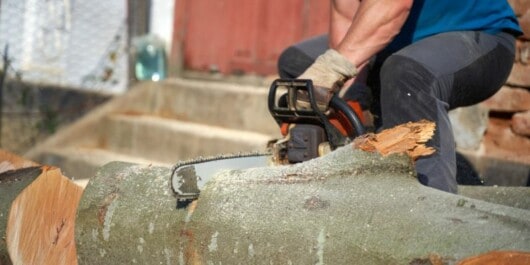 person cutting large logs into lumber