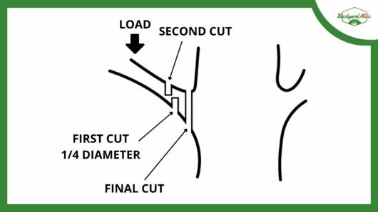 how to cut tree limbs with pole saw