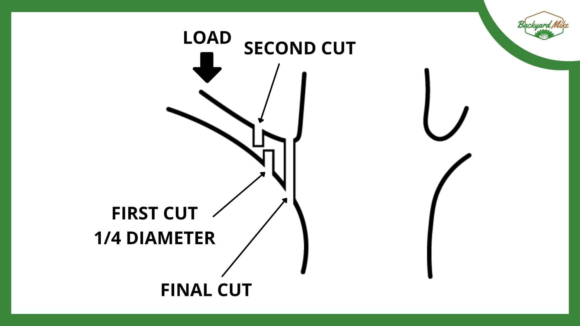 How To Cut Tree Limbs With A Pole Saw A StepByStep Guide To Assist