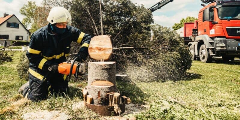 how to cut tree on ground with a chainsaw