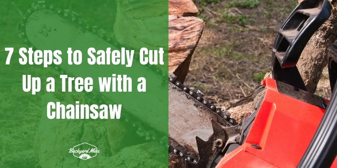 how to cut up a tree with a chainsaw