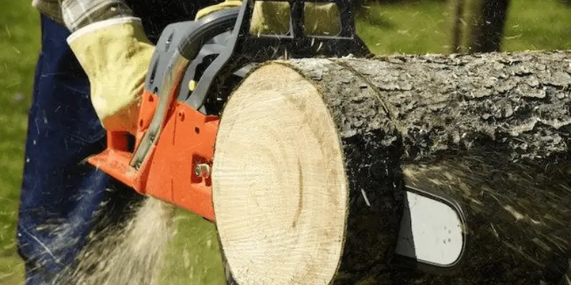 how to cut wood slices with chainsaw