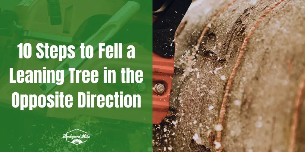 How To Fell A Leaning Tree In The Opposite Direction