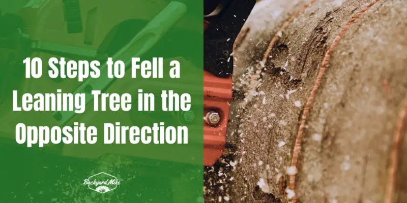 how to fell a leaning tree in the opposite direction