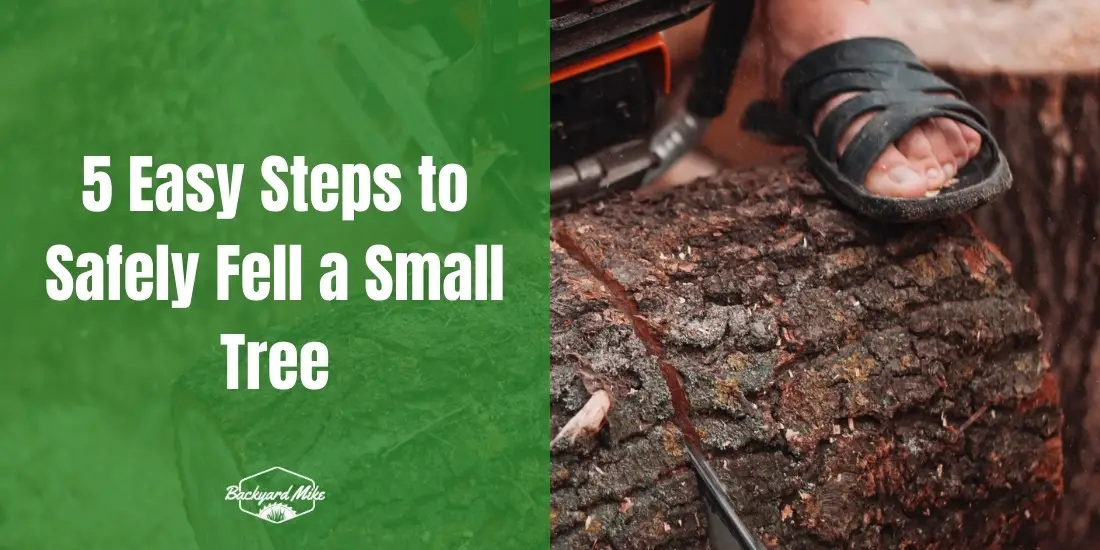 how to fell a small tree