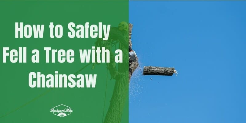 how to fell a tree with a chainsaw