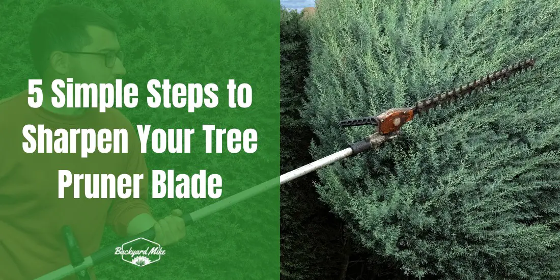 5 Simple Steps to Sharpen Your Tree Pruner Blade 29 how to sharpen a tree pruner blade