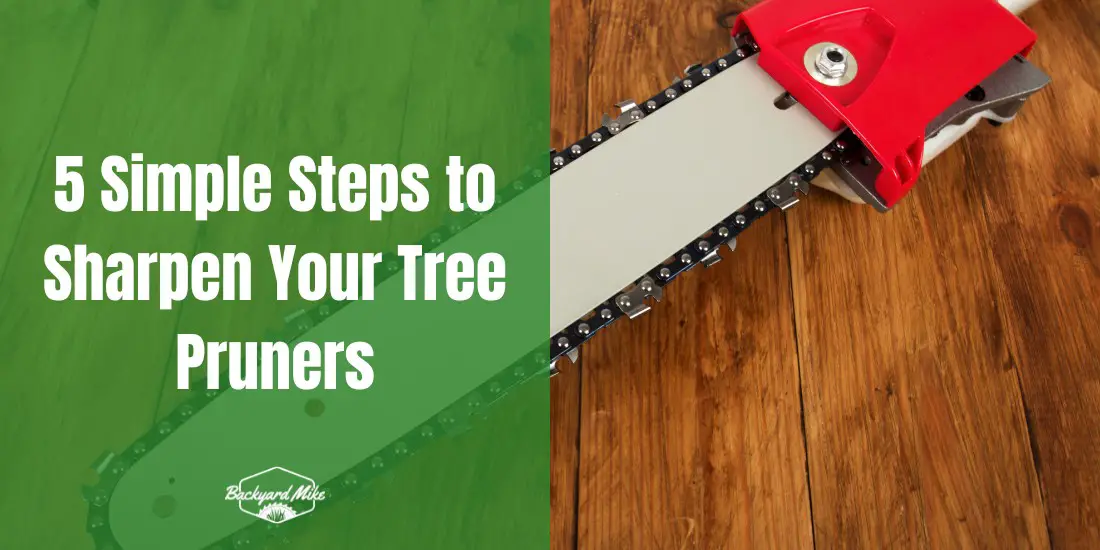5 Simple Steps to Sharpen Your Tree Pruners 30 how to sharpen tree pruners