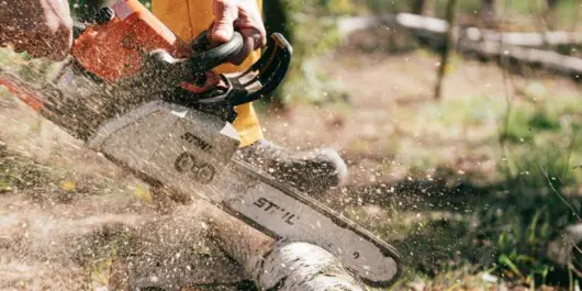 professional logger holding the stihl chainsaw tightly while cutting logs