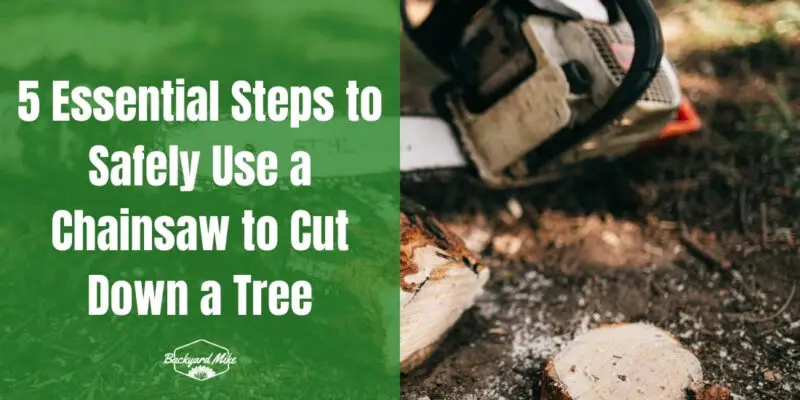 how to use a chainsaw to cut down a tree