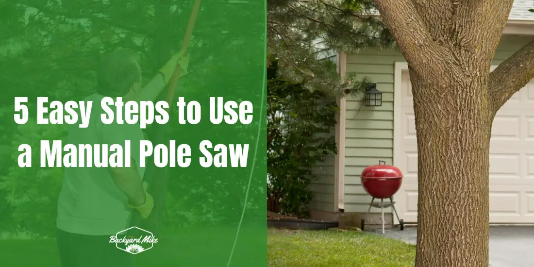5 Easy Steps to Use a Manual Pole Saw 33 how to use a manual pole saw
