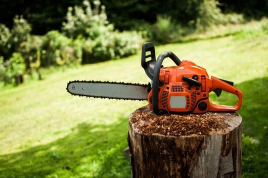 chainsaw on top of log