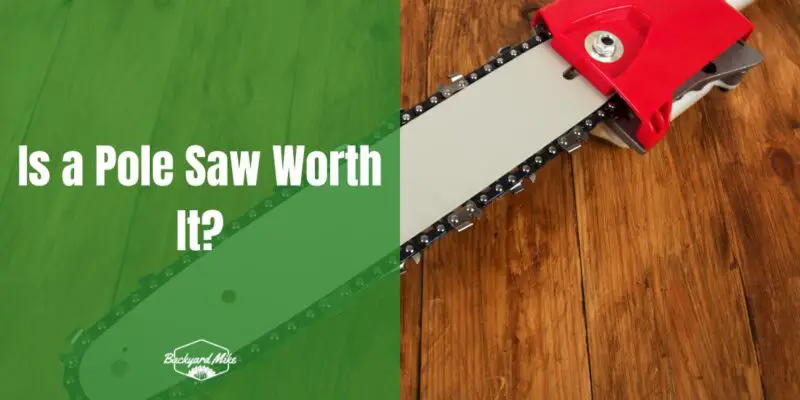 is a pole saw worth it