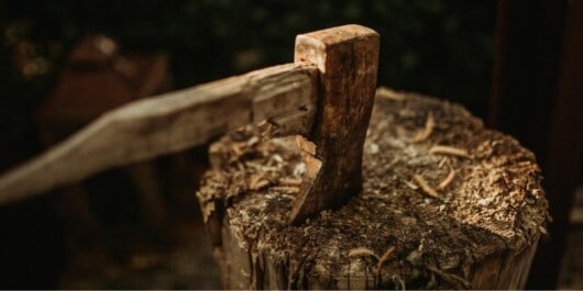 is green wood easier to split - splitting dry wood using axe