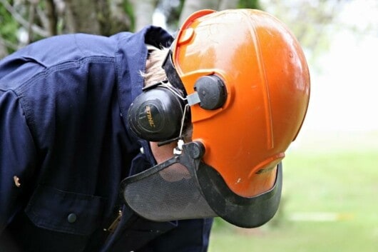logger with safety gear