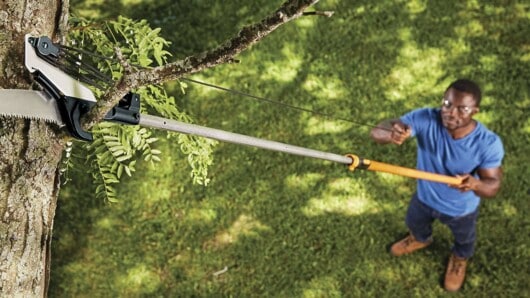 man cutting branches using a pole saw