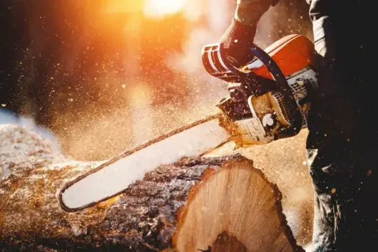 Is Using A Chainsaw Difficult: Possible Issues Beginners Might Face 5 man cutting logs using a chainsaw