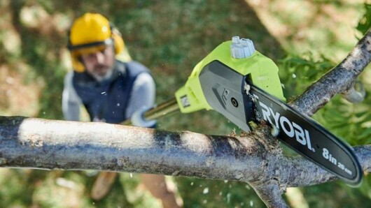 man cutting tree branches using pole saw