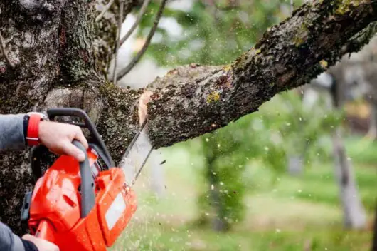 man cutting tree branches using electric chainsaw