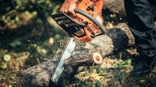 What Is Better Gas Or Battery Chainsaw: Choose The Best Option For Your Needs 2 man cutting tree into logs using gas chainsaw