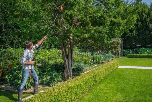man cutting tree limbs using electric pole saw