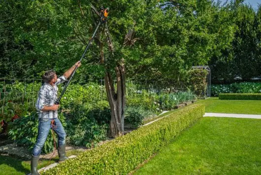 How To Use An Electric Pole Saw On A Ladder 4 man cutting tree limbs using electric pole saw