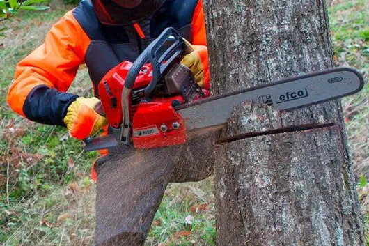 man cutting tree using chainsaw
