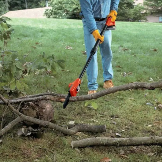 man using extended pole saw to cut tree limbs