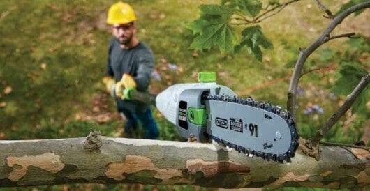 Can You Use A Chainsaw On A Ladder? 12 man using pole saw to cut tree branches