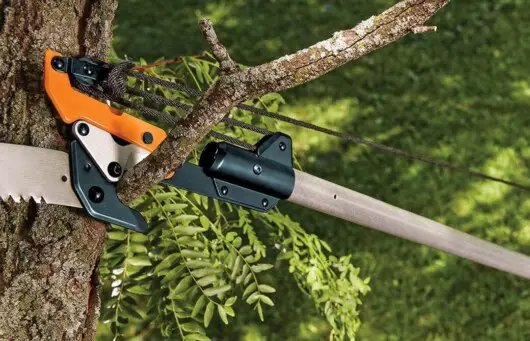 What Is A Pole Saw Used For: Everything You Need To Know About Pole Saws 5 pole saw cutting branches